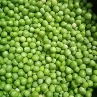 باقله و نخود فرنگی و سبزی قورمه و کلم پلو و دمپخت