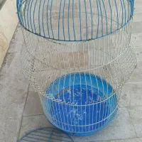 قفس طوطی