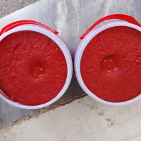 رب گوجه درجه یک ارگانیک و به شرط تست ۵ کیلو
