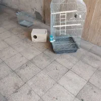 قفس بزرگ