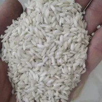 برنج دورود