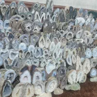 سنگ اسلایس عقیق شجر  سلیمانی اماتیس نگین گردنبند