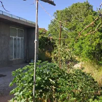 خانه باغ دولت اباد هماشهر روخیابان اصلی