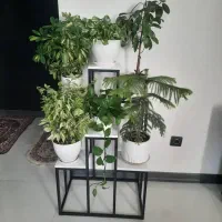 استند گل جاگلدانی مدل پله ای ششتایی