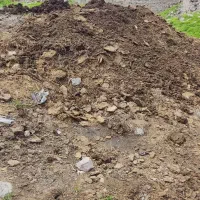 کود حیوانی.پهن مخصوص زمین کشاورزی و باغداری