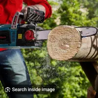 باغبانی هرس انواع درختهای بزرگ و کوچک