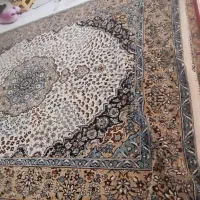 دوفرش ۱۲ فوری