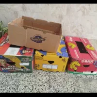 کارتون موز ۱۲عدد