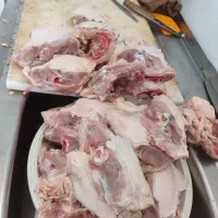 ضایعات و اسکلت مرغ کپل مرغ مخصوص سوپ وسگ