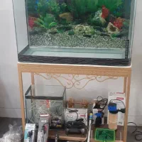 فروش اکواریوم