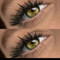 مژه هیدن
