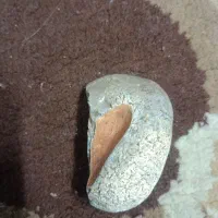 یک سنگ مرمر