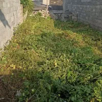زمین مسکونی ۱۰۰ درصد در زنبیه ۳ چالوس