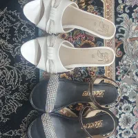 دمپایی و کفش مجلسی