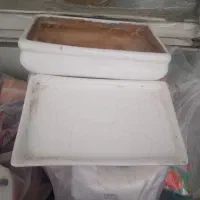 گلدان|گل و گیاه طبیعی|تهران, ستارخان|دیوار