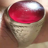 شفت العبد کهنه مورچه خور