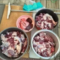 دام زنده افشاریی بهترین نژادبا سلاخ سیاردرهر زمان