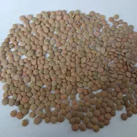 پخش عمده غلات و روغن آفتابگردان