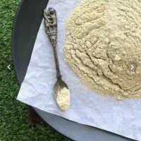 گرده نخل