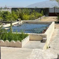 فروش باغ شهری با قیمت کارشناسی