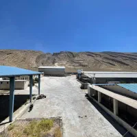 اجاره مرغداری تخمگذار