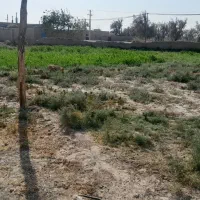 زمین-کشاورزی-و-مسکونی