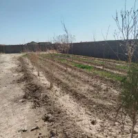 پلاک-باغ