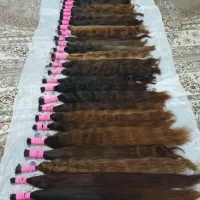 خریدار اصلی مو بدون واسطه