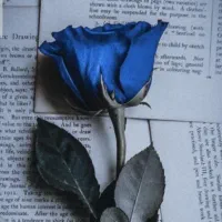 به متن توجه کنید