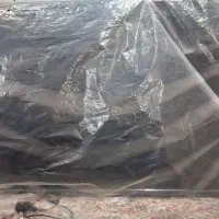 تلویزیون نو