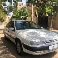 زانتیا سفید