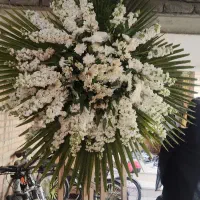 استند گل همش شب بو تازه