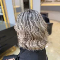 استخدام دستیار رنگ و مش