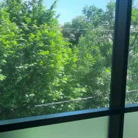 اپارتمان تک واحدی سه خوابه