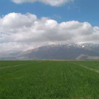 خرید-و-فروش-باغ-زمین-گلخانه-دامداری