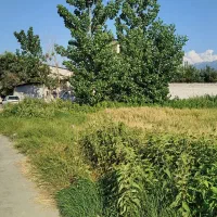 زمین-200متر-کردکوی