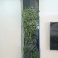 پالاداریوم پالاداریوم پالاداریوم
