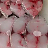 ماهی بوشهر صید روز،بلوار نصر ،ماه فیروزان