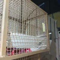 سبد لباس آهنی