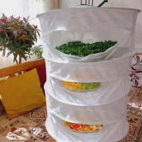 خشکن|بندرخت و رخت‌آویز|مشهد, عامل|دیوار
