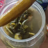 خیار شور ترشی گوجه
