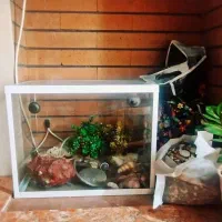 فروش اکواریوم