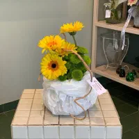 گل ارایی|گل و گیاه طبیعی|اصفهان, سعادتآباد|دیوار