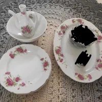 ظروف گلسرخی