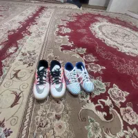 کفش|کیف، کفش، کمربند|نیشابور, مازول|دیوار