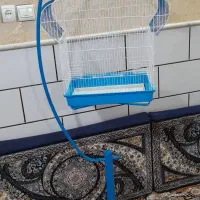 قفس پرنده
