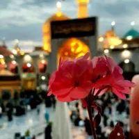 سفر6روزه مشهد/ویژه عرفه و عیدقربان