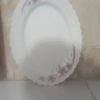 سرویس آکروپال گل صورتی