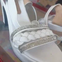 کفش مجلسی