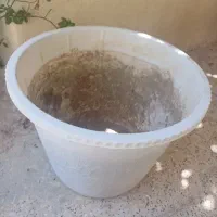سه عدد گلدان نو سالم